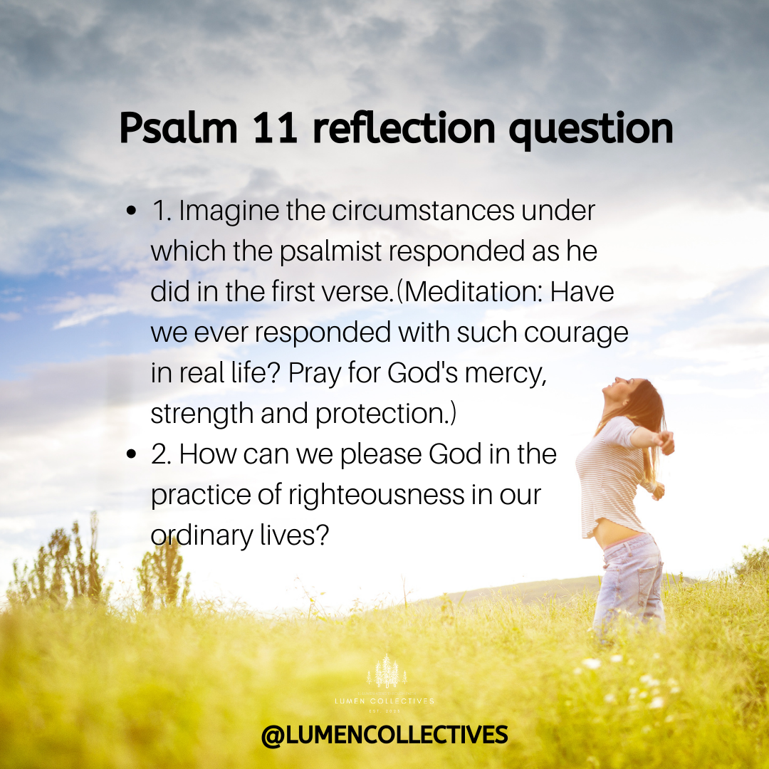 Daily Chapter---Psalm 11 Reflection Question