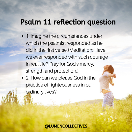 Daily Chapter---Psalm 11 Reflection Question