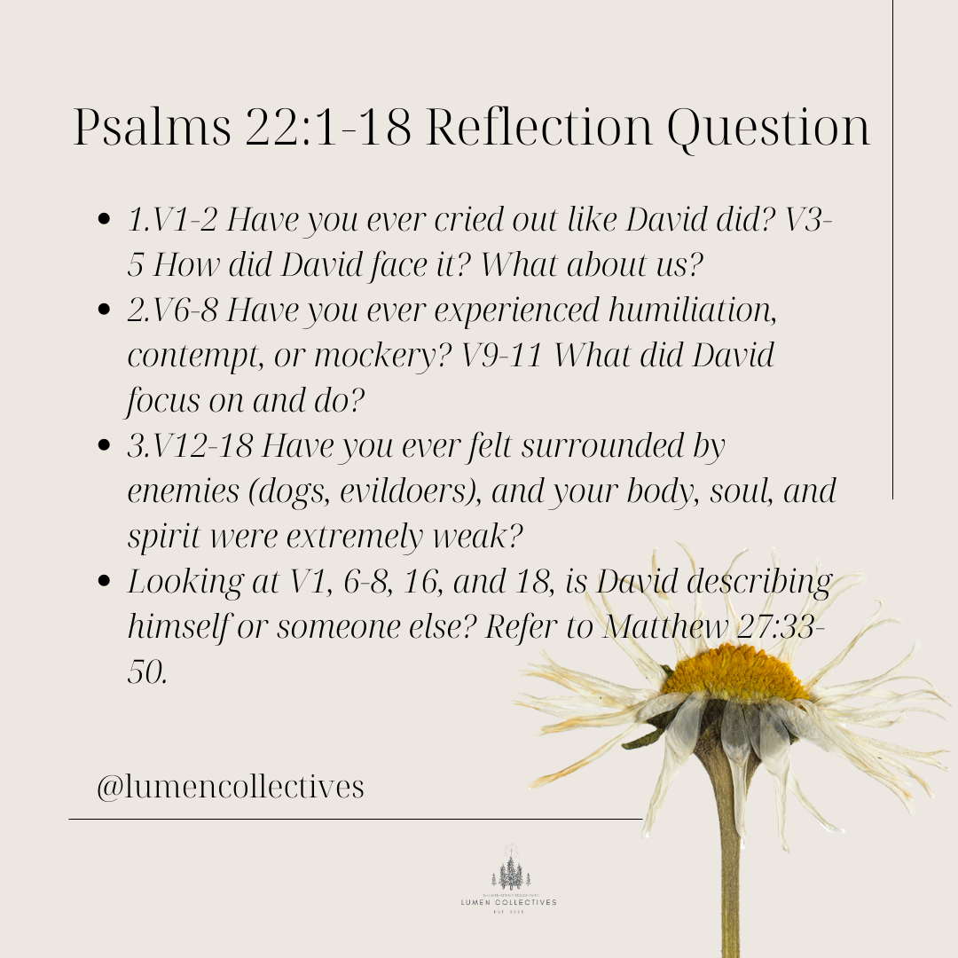 Daily Chapter---Psalm 22:1-18 Reflection Question